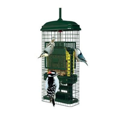 Brome Bird Care Squirrel Buster Truly Squirrel-Proof Suet Feeder (Green)