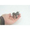 Collectible Wildlife Gifts | Donkey Baby, Hand Painted, Museum Quality, Rubber Animal, Donkey foal, Diorama, Toy,  Gift,  3 Inches.  CH820 BB189 - 2 of 4