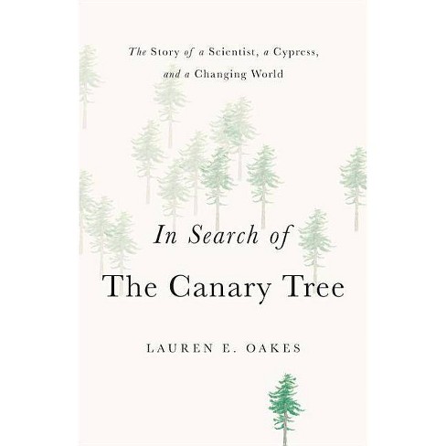 in search of the canary tree by lauren e oakes