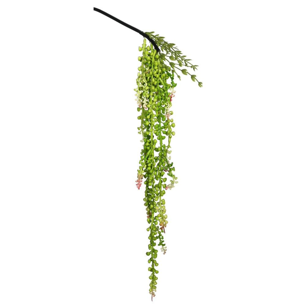 Photos - Other Decoration Vickerman Artificial String of Pearls 3pk 26": Indoor Polyester Succulent, Faux Floral Decor, No Battery Required 