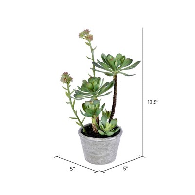 Festive 15" Outdoor Potted Plastic Succulent Centerpiece