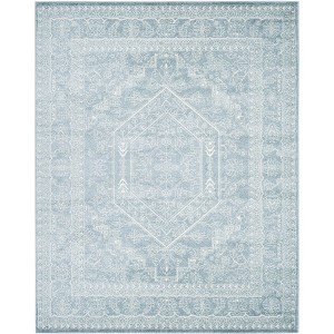 Adirondack ADR108 Non-Shedding Power Loomed Indoor Rugs - Safavieh - 1 of 4
