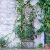 VEVOR Garden Trellis for Climbing Plants, 60 x 15 in, Rustproof Metal Garden Flower Trellis, Outdoor Climbing Rose Trellis Cucumbers Support - 2 of 4