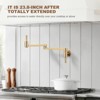 WOWOW Wall Mounted Pot Filler with Double-Handle - 3 of 4