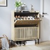 DOMETOUR 2 Flip Shoe Cabinet, Multi-layer Shoe Rack, Modern Minimalist, Storage Cabinet, for Entryway - 2 of 4