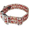 Country Brook Petz HossFit Jr Wide Premium Dog Collar - Christmas Collection - 2 of 4