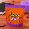 Reese's Mini Peanut Butter Pumpkins Halloween Candy Pouch - 7.6oz - 3 of 4