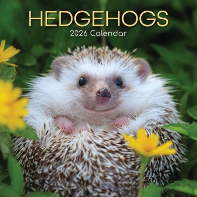 2026 Square Wall Calendar, Hedgehogs, 16-Month Animals Theme with 180 Reminder Stickers (12x12 In)