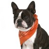 Mechaly Pack of 8 Paisley Cotton Dog Bandana Triangle Shape  - Fits Most Pets - 4 of 4