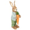 Northlight 19" Spring Sisal Standing Bunny Rabbit Figure with Carrot - Brown/Green - 3 of 4