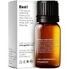 Gya Labs Basil Essential Oil 0.34 Fl Oz 100% Pure Natural for Skin, Massage, Fragrance, Candles Making Scent - 2 of 4