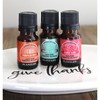 Plantlife Holiday Blends 3-Pack Aromatherapy Essential Oil Set – 100% Pure, Therapeutic Grade, No Additives or Fillers, 10 ml - 2 of 4