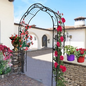 Metal Garden Arch Assemble Freely with 8 Styles Garden Arbor Trellis Climbing Plants Support Rose Arch Black - 1 of 4