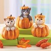Collections Etc Hand-Painted Pumpkin Cat Sitter Figurines 3.5 X 3.5 X 4.75 Orange - 2 of 2