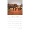 2026 Square Wall Calendar, Elephants, 16-Month Animals Theme with 180 Reminder Stickers (12x12 In) - 3 of 4