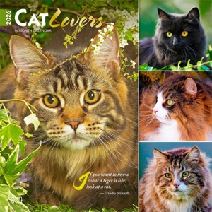 BrownTrout Cat Lovers 2026 12"x24" Hanging Square Wall Calendar Plastic-Free - 1 of 4