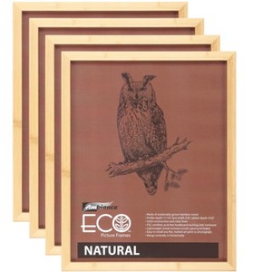 Ambiance Eco Frames - 4 Packs - Assorted Sizes and Colors - 1 of 4