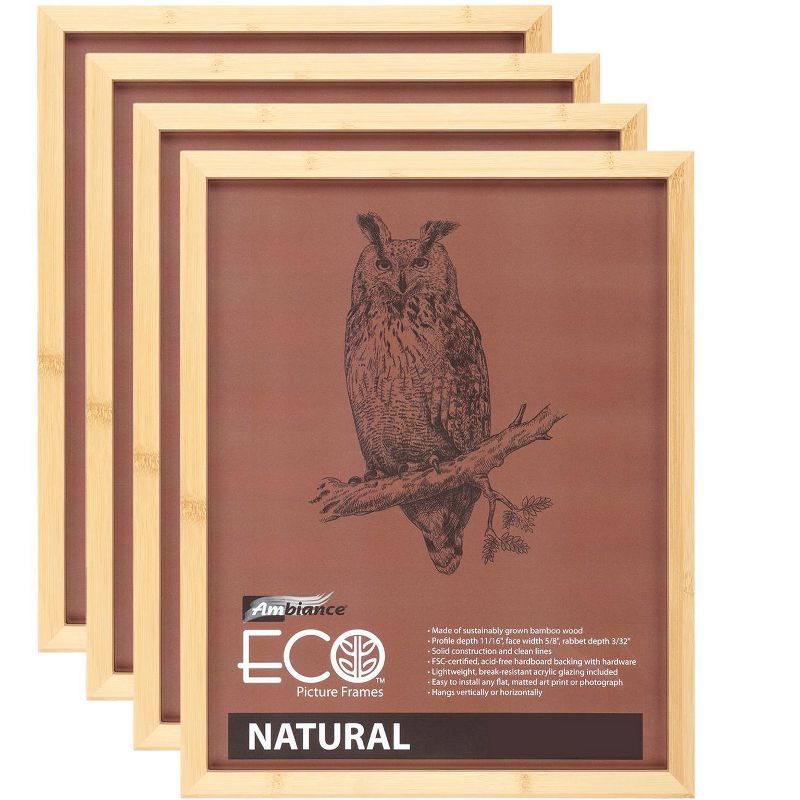 Ambiance Eco Frames - 4 Packs - Assorted Sizes and Colors, 1 of 7