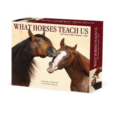 2022 Box Calendar What Horses Teach Us - Willow Creek Press