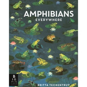 Amphibians Everywhere - (Animals Everywhere) by  Camilla de La Bedoyere (Hardcover) - 1 of 1