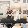 KTMBDW Professional Electric Dog Grooming Table - Heavy Duty, Height Adjustable w/Grooming Arm & Anti Slip Tabletop/Dog Grooming Station - 3 of 4