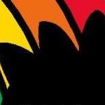 clear push pins bundle