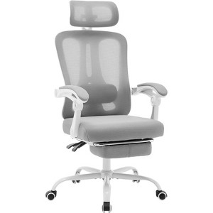 Acekool Mesh Office Chair with Footrest, Ergonomic Desk Chair with Lumbar Support, Adjustable Executive Computer Chair with Wheels (Multiple Colors) - 1 of 4