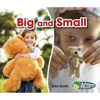 Big and Small - (Opposites) by  Sian Smith (Paperback)