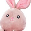 Collections Etc Baby Blanket And Plush Toy - 4 of 4