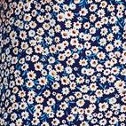 navy blue chrysanthemum