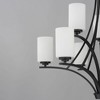 Maxim Lighting Deven 9 - Light Chandelier in  Black - 2 of 4
