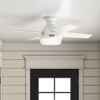 Hunter Fans 44" Dempsey Lighted Ceiling Fan Fresh White Finish with Integrated LED and Handheld Control - 2 of 4