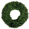 Nature Spring Boxwood Wreath - 16.5-Inch Round UV Resistant Artificial Spring, Summer, Fall, or Winter Wreath - Outdoor/Indoor Wreaths - 2 of 4