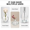 VECELO 3-Piece Glass Vase Set, Nordic Style Vases, Glass Decorative Flower Vases, Tabletop Centerpiece, Clear/Green - 4 of 4
