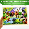 QUOKKA 24-48 pcs Wooden Puzzle Set - 4x Jigsaw Puzzle for Kids 4 5 6 Year Old - 4 of 4