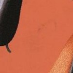 clear push pins bundle