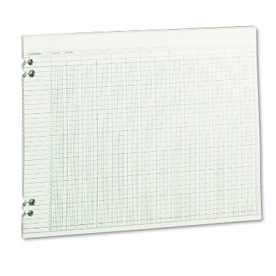 Wilson Jones Accounting Sheets 24 Columns 11 x 14 100 Loose Sheets/Pack Green G3024