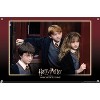 Trends International Harry Potter and the Sorcerer's Stone - Group Unframed Wall Poster Prints - 4 of 4