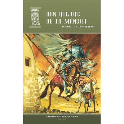 Don Quijote de la Mancha - by  Aldo Rodríguez de Flores (Paperback)