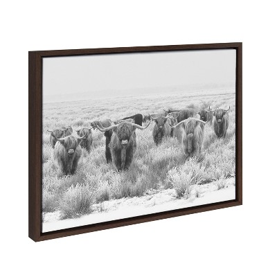 Herd of Highland Cows Black and White Canvas Print with Brown Frame