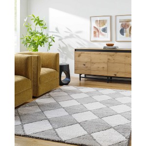 Hauteloom Aideen Gray Shag Area Rug - 1 of 4