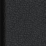 illinois fighting illini