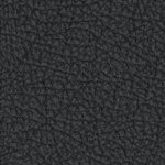 illinois fighting illini