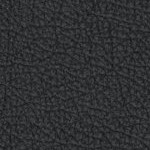 illinois fighting illini