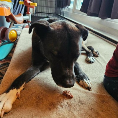 Guest review image 2 of 2, zoom in