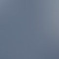 7561-tint