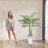 5/6FT Artificial Palm Tree Indoor Outdoor, Realistic Fake Tree with 13 Fronds & Weighted Planter - Tropical Decor for Home, Office - 2 of 4