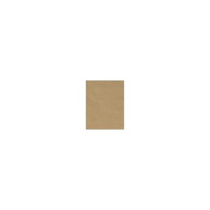 LUX 148 lb. Cardstock Paper 8.5" x 11" Grocery Bag Brown 50 Sheets/Pack (81211-C-18GB-50) - 1 of 1