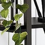 black iron + black wood board