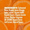 Evolution Fresh Orange Squeeze Real Fruit Soda - 12 fl oz - 3 of 4